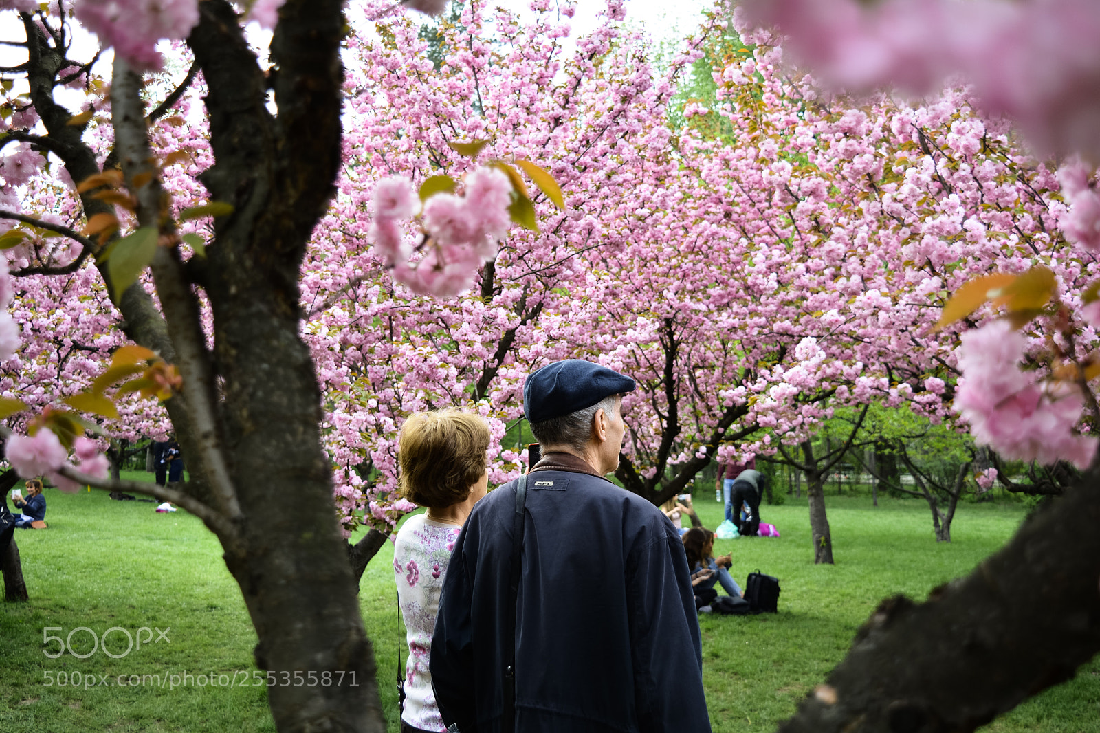 Nikon D5200 sample photo. Old couple photography