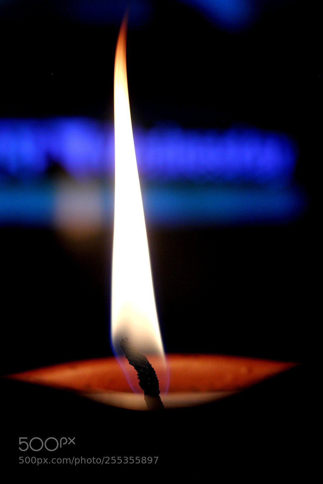 Canon EOS 60D sample photo. Img photography