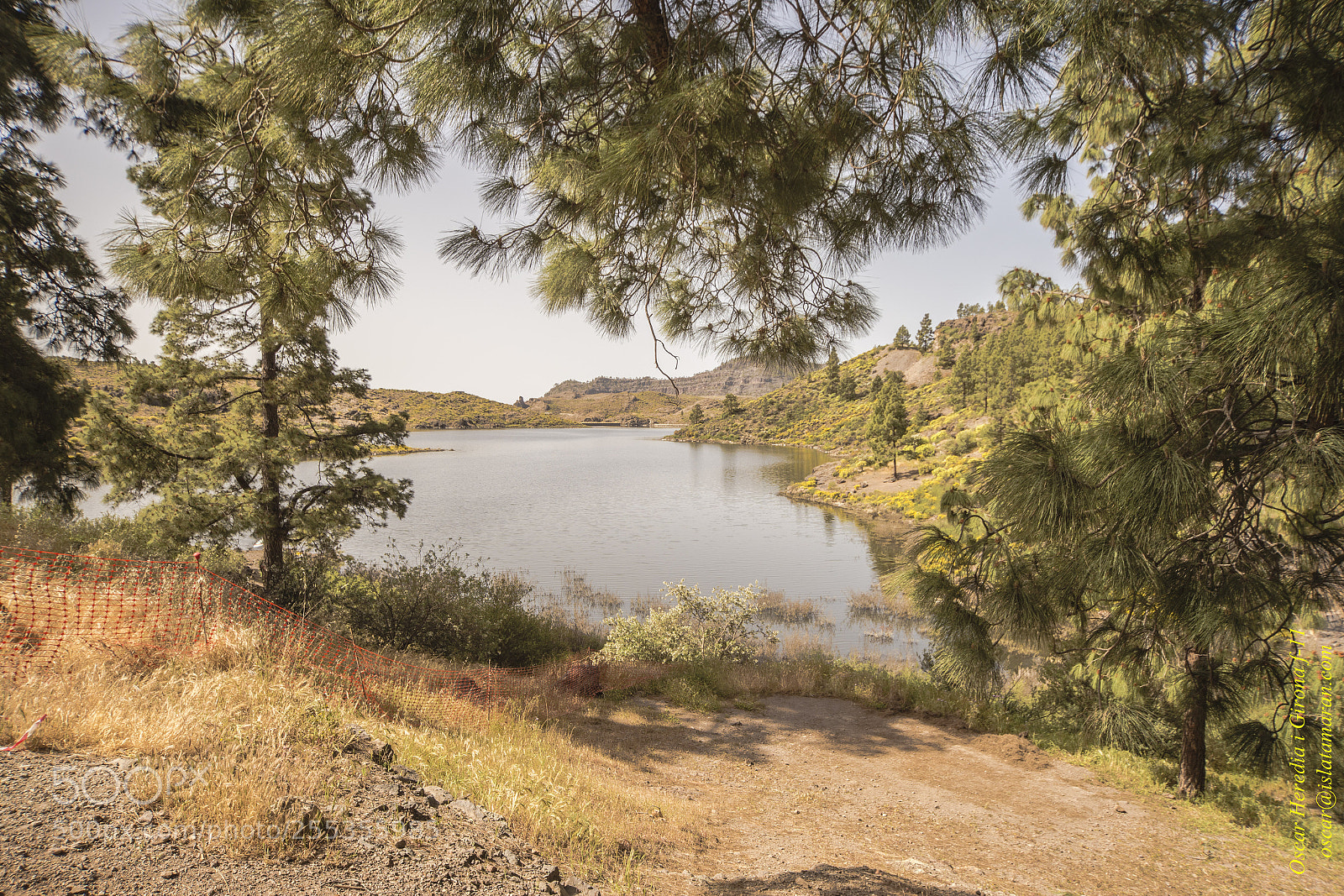 Canon EOS 6D sample photo. Mg photography