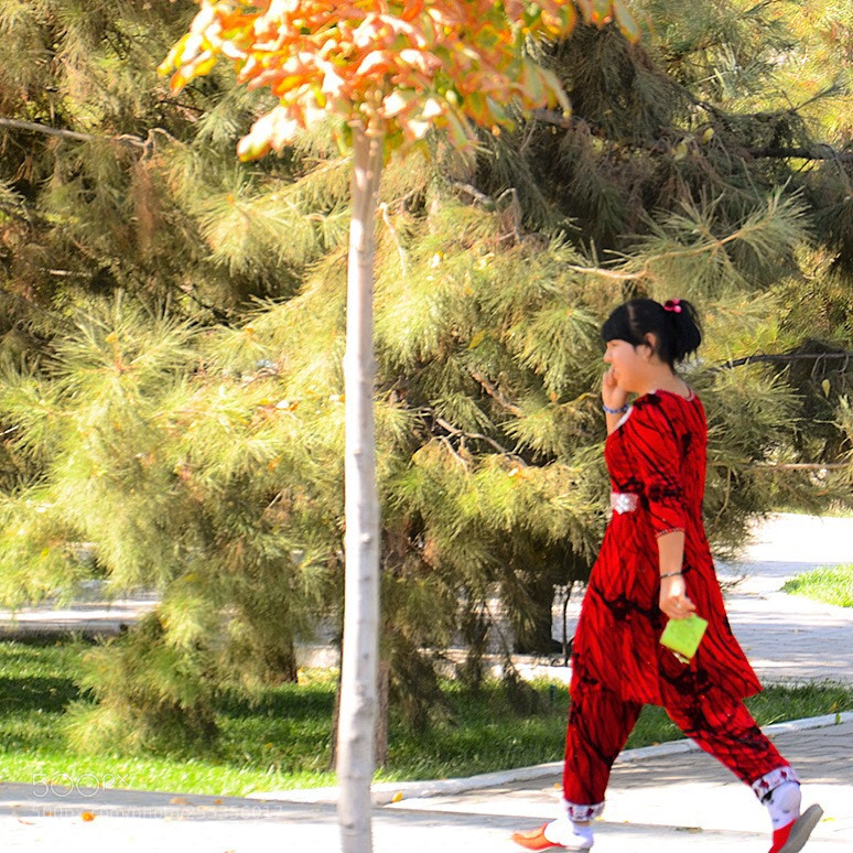 Nikon D7000 sample photo. Untitled photography