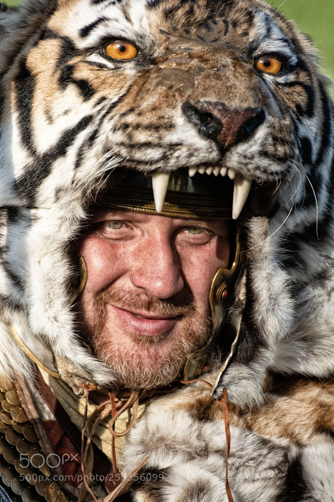 Nikon D7100 sample photo. Tiger man photography