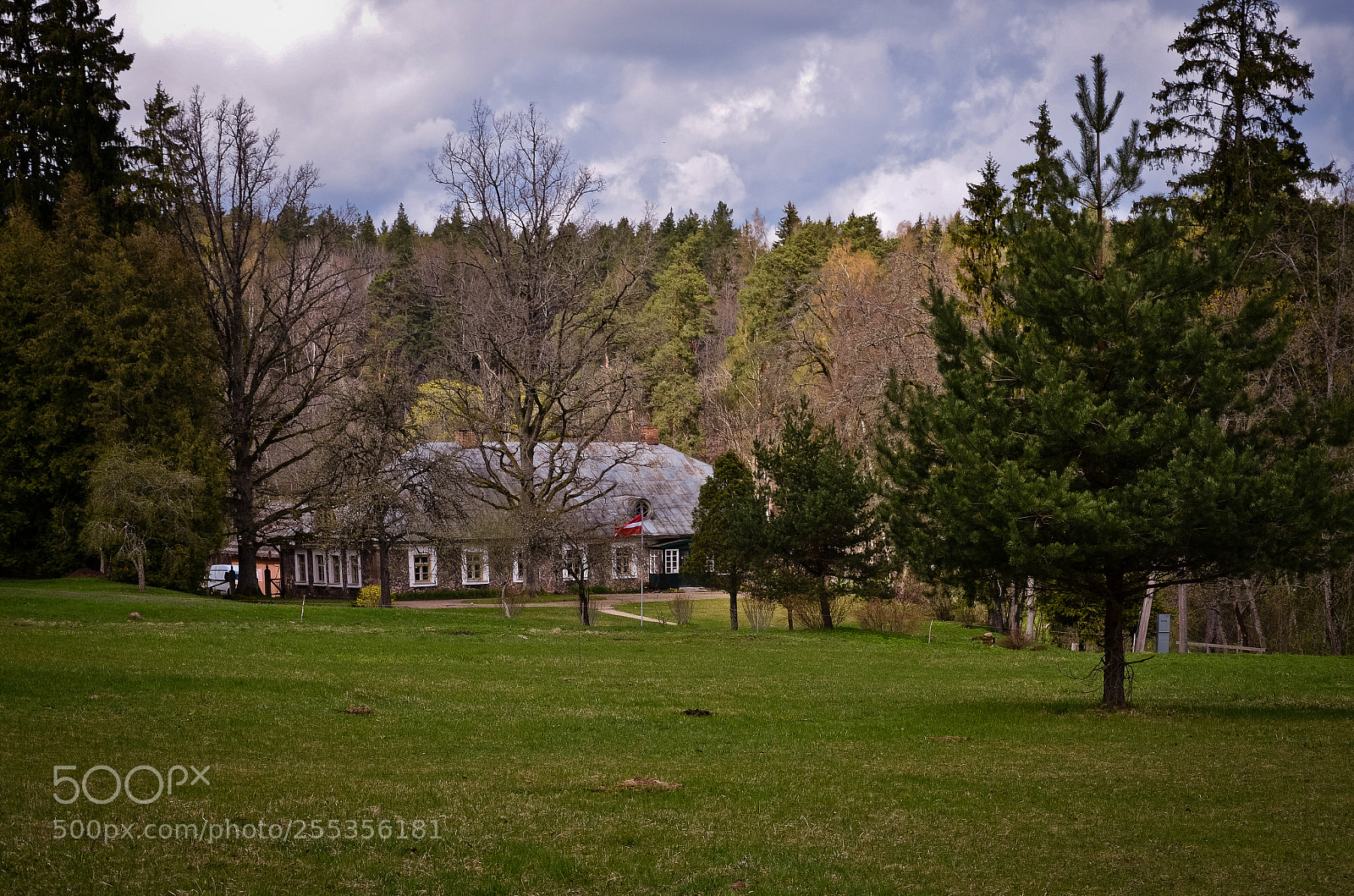 Nikon D5100 sample photo. House in the forest photography