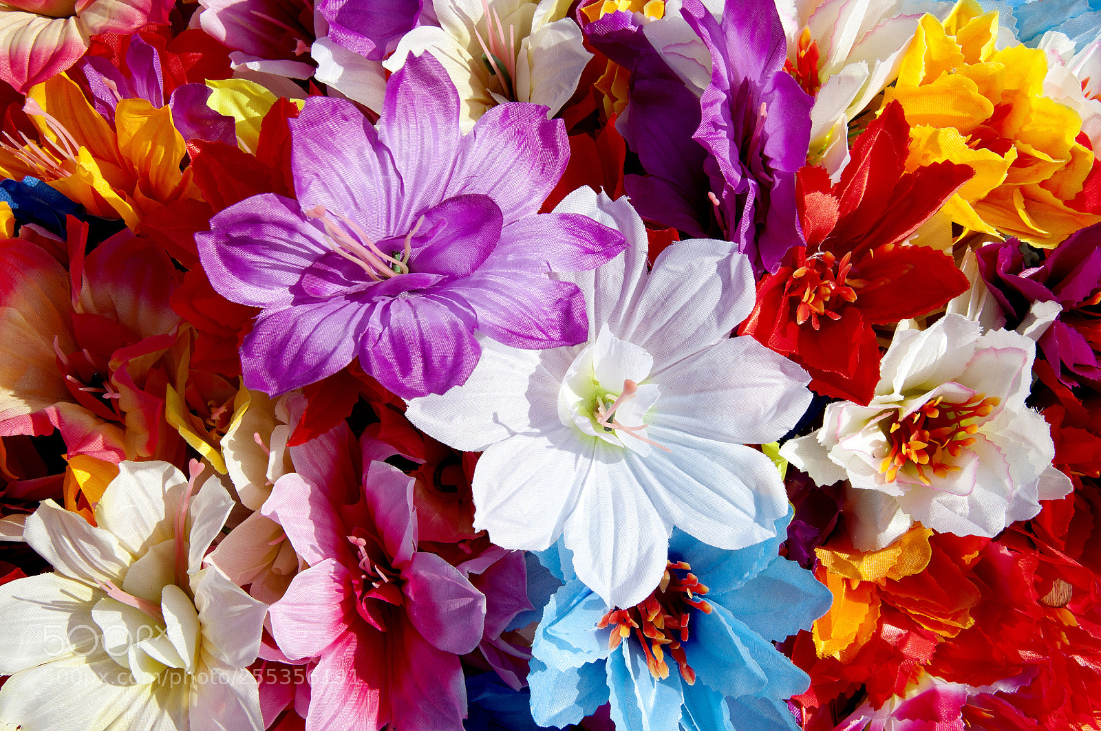 Nikon D90 sample photo. Textured background photography