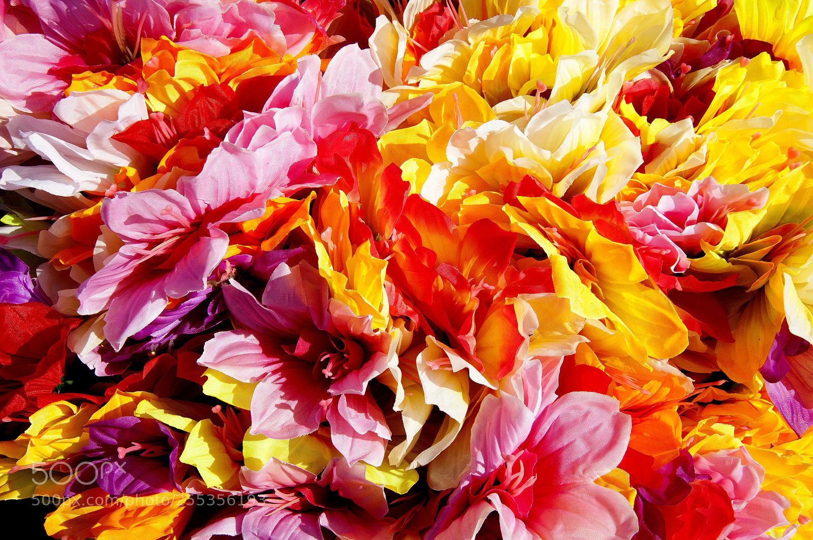 Nikon D90 sample photo. Textured background photography