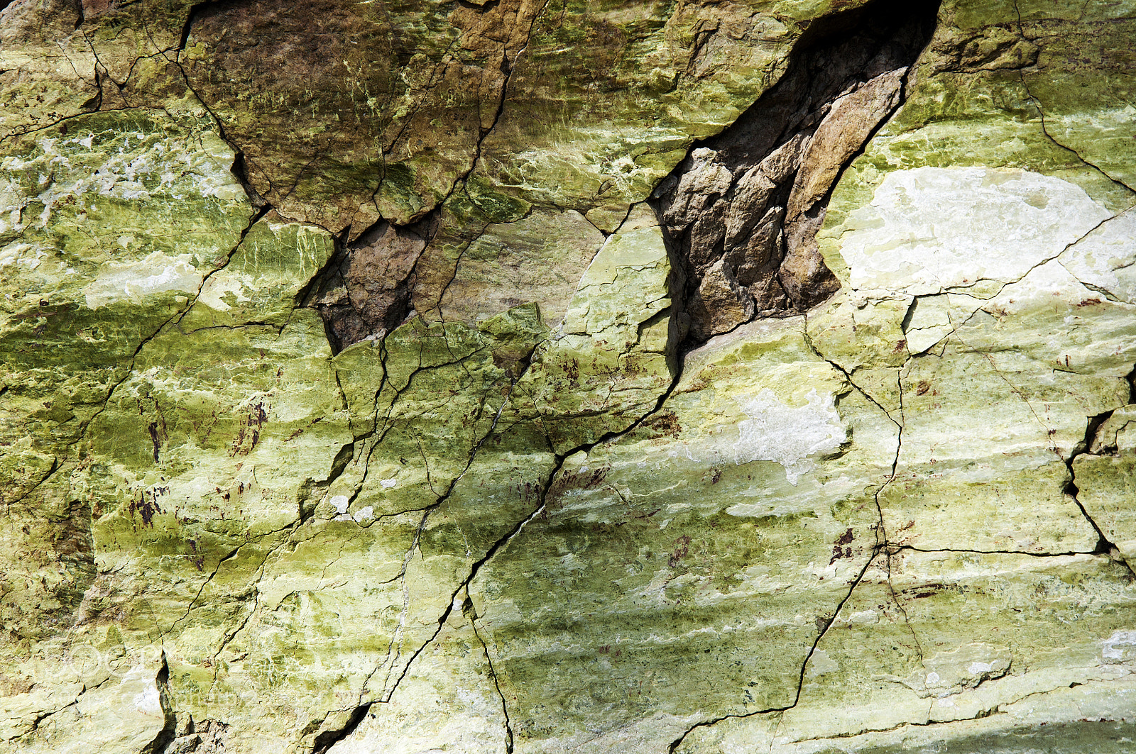 Nikon D90 sample photo. Textured background photography