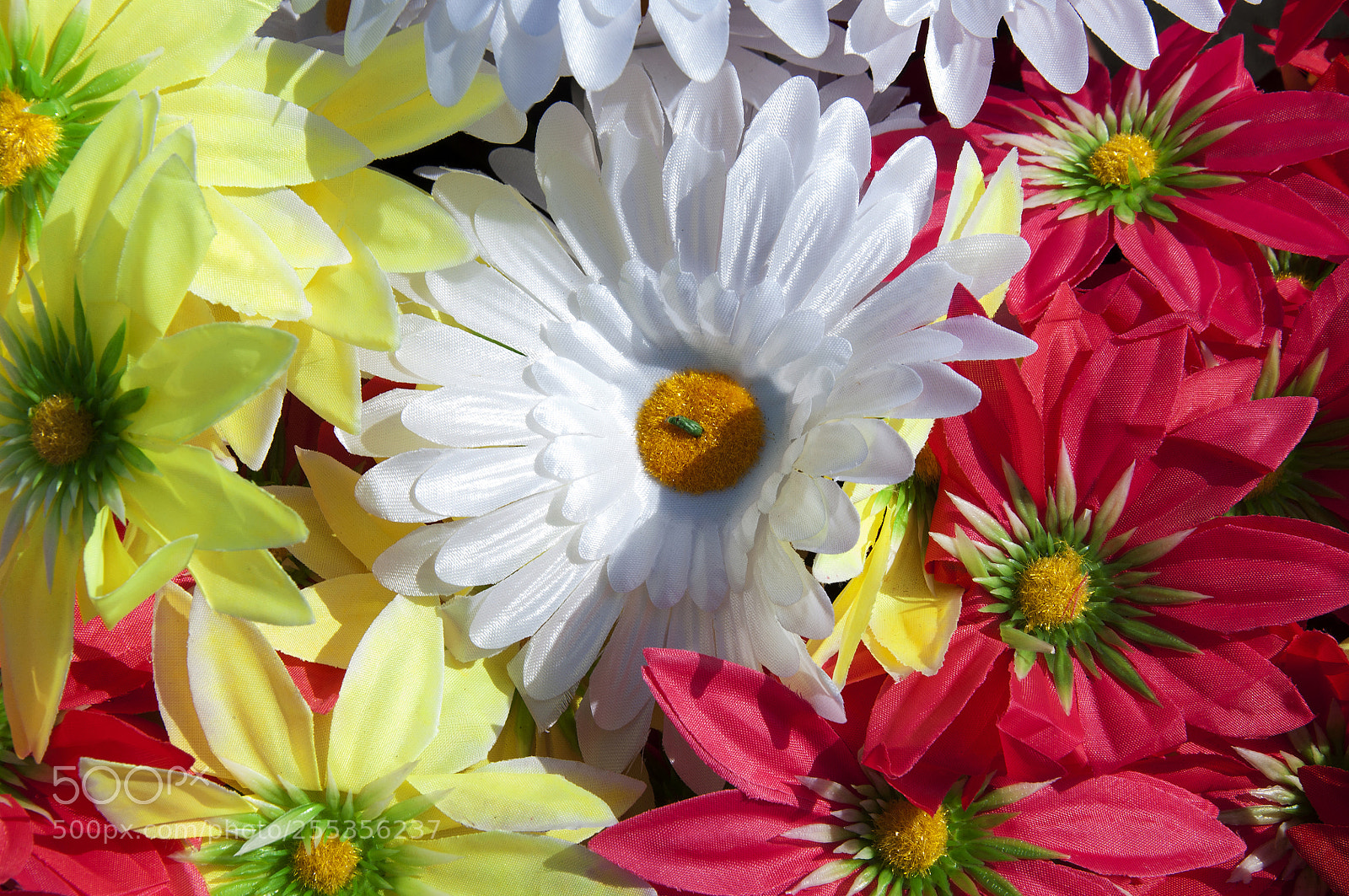 Nikon D90 sample photo. Textured background photography