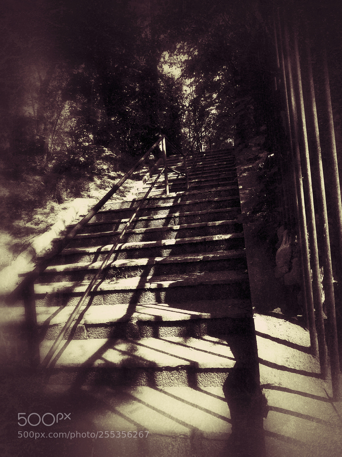 Nikon Coolpix B500 sample photo. Stairs photography