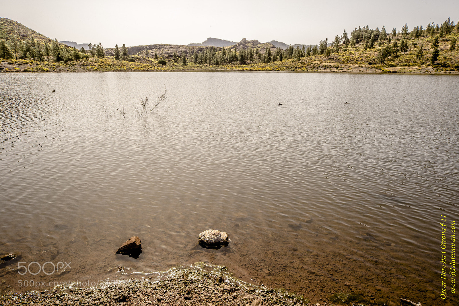 Canon EOS 6D sample photo. Mg photography
