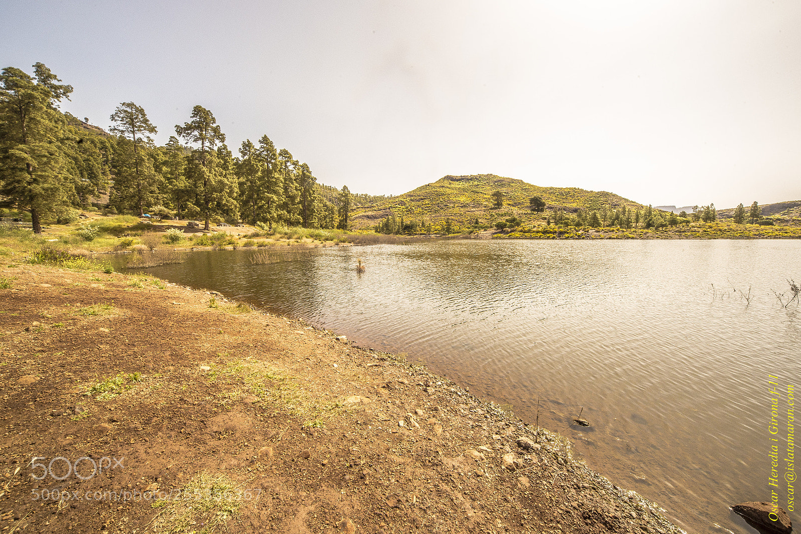 Canon EOS 6D sample photo. Mg photography
