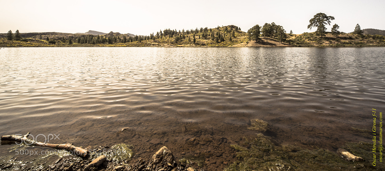 Canon EOS 6D sample photo. Mg photography