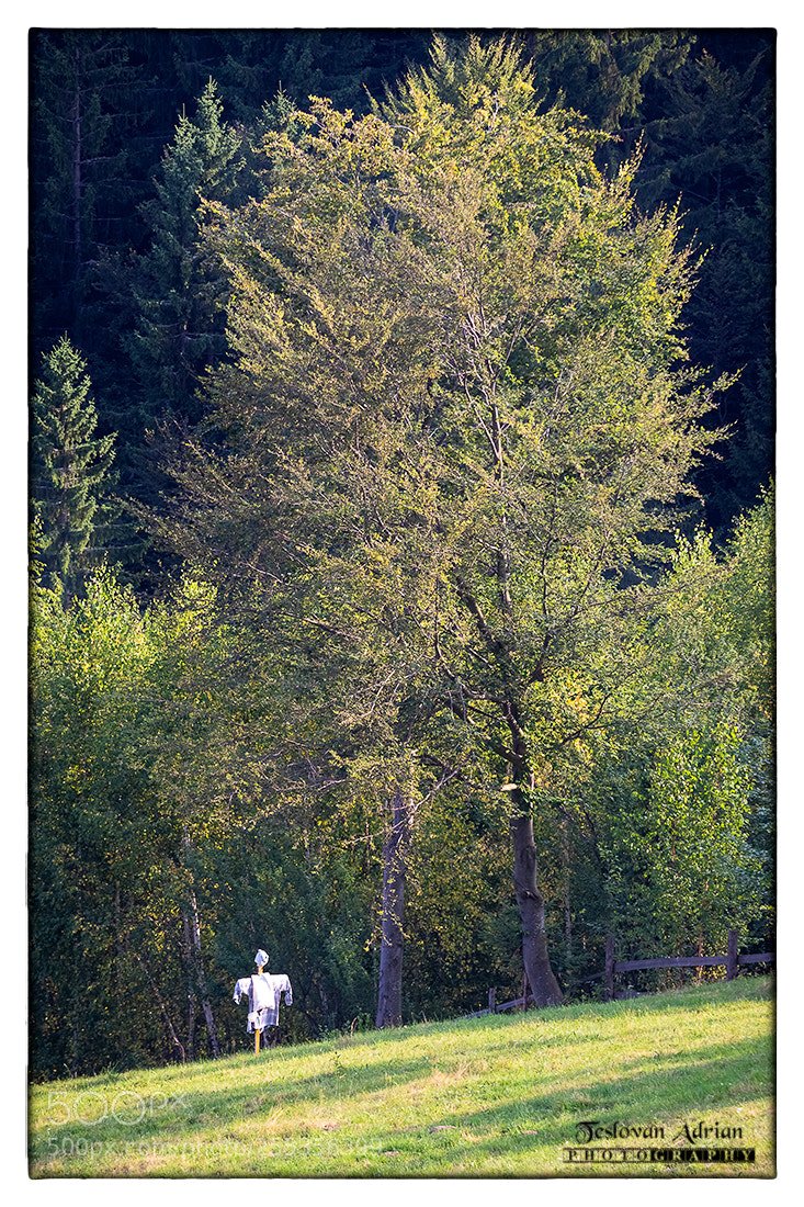Canon EOS 7D Mark II sample photo. Scary... photography