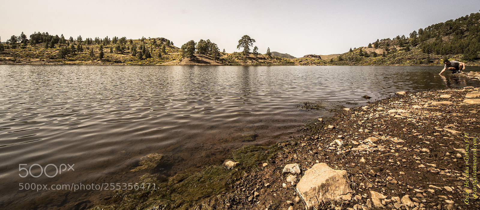 Canon EOS 6D sample photo. Mg photography