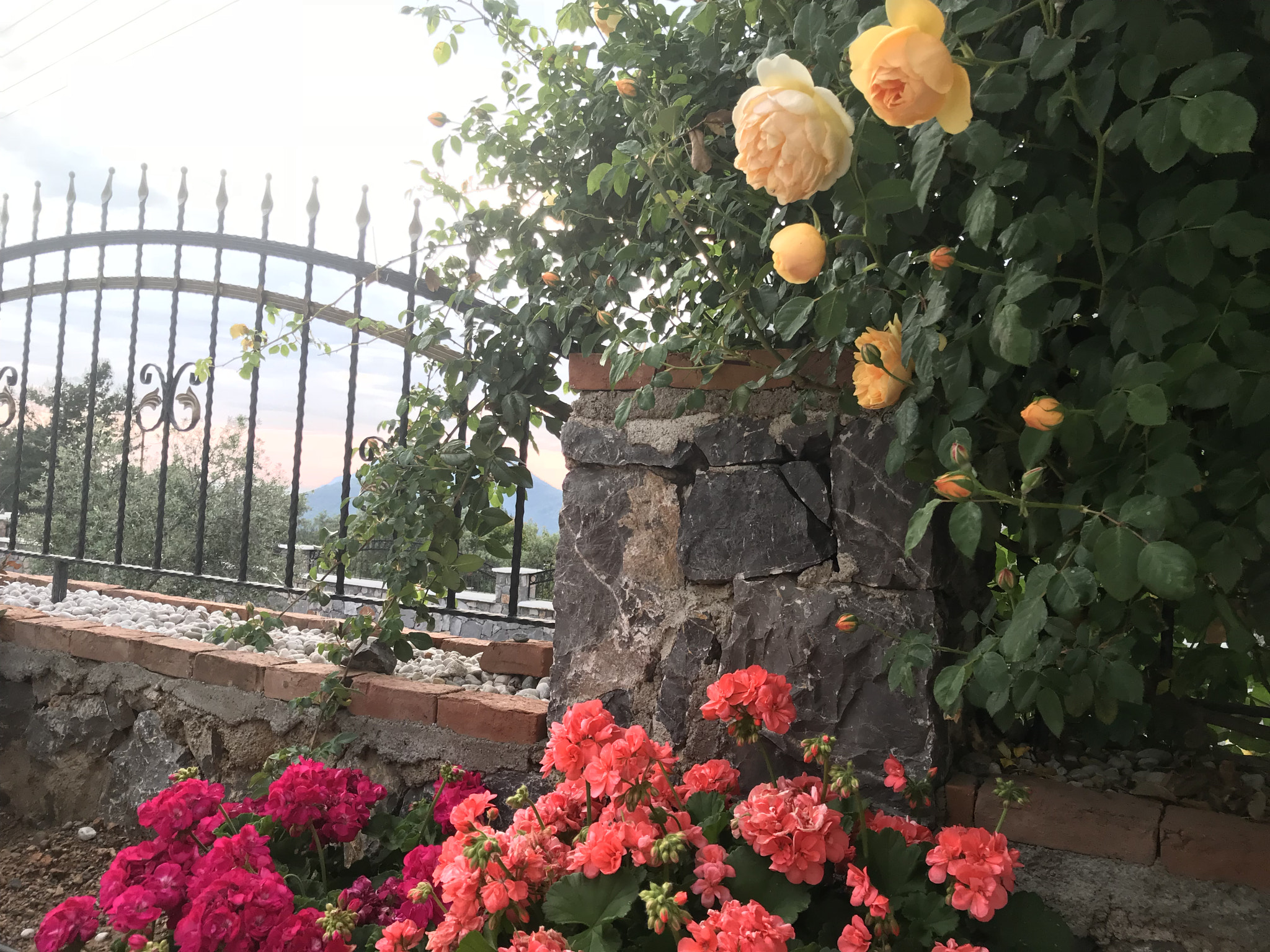 Apple iPad Pro (10.5-inch) sample photo
