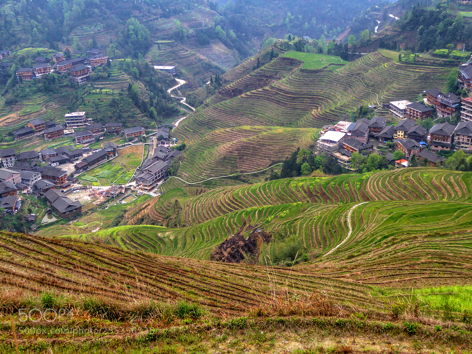 Panasonic DMC-TZ61 sample photo. Longsheng rice terraces photography