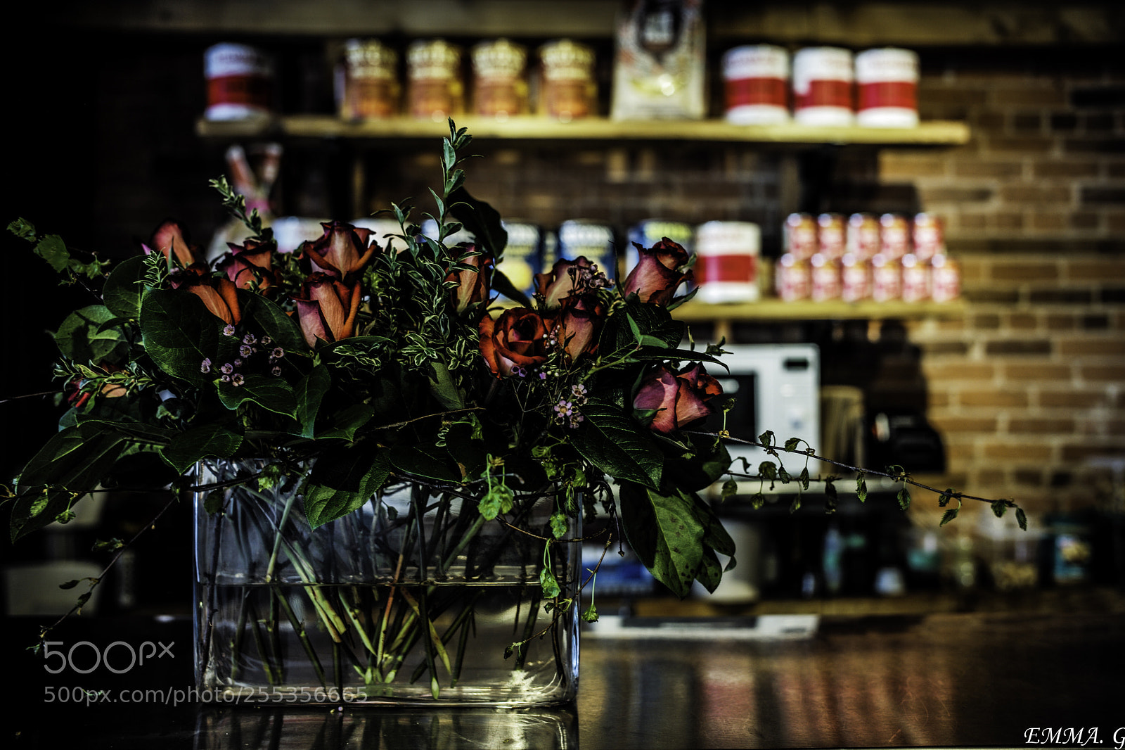 Leica M (Typ 240) sample photo. Rose photography