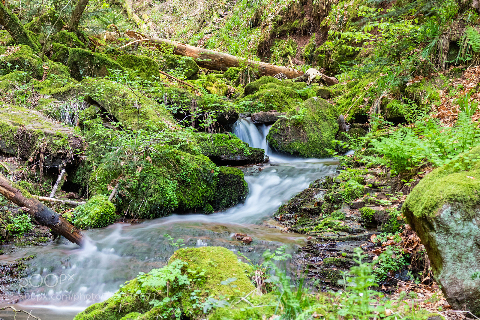 Canon EOS 750D (EOS Rebel T6i / EOS Kiss X8i) sample photo. Water flowing downhill photography