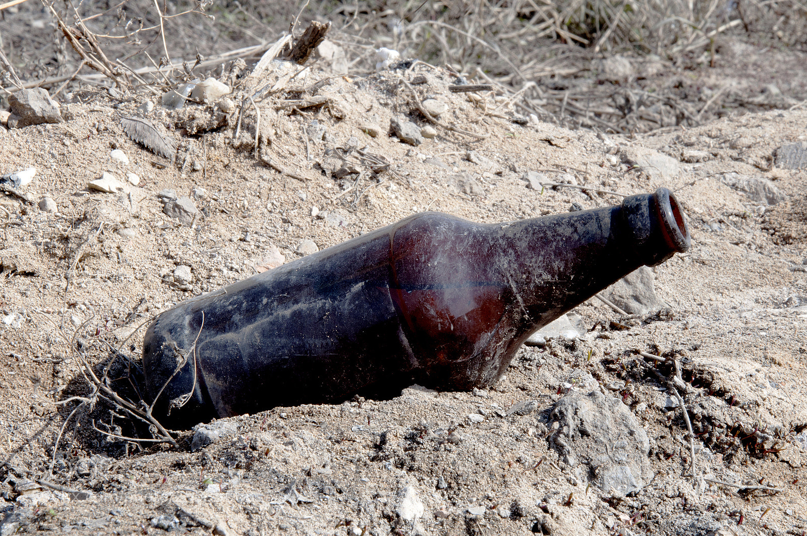 Nikon D90 sample photo. Bottle on the ground photography