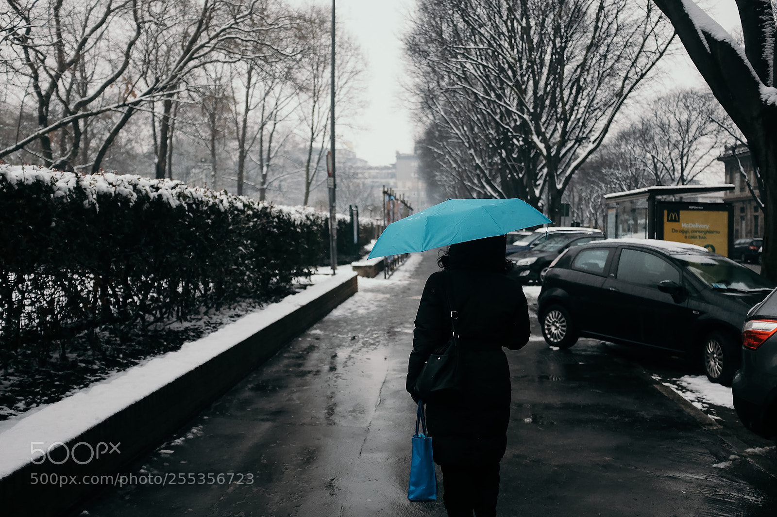 Fujifilm X100T sample photo. The snow walker photography