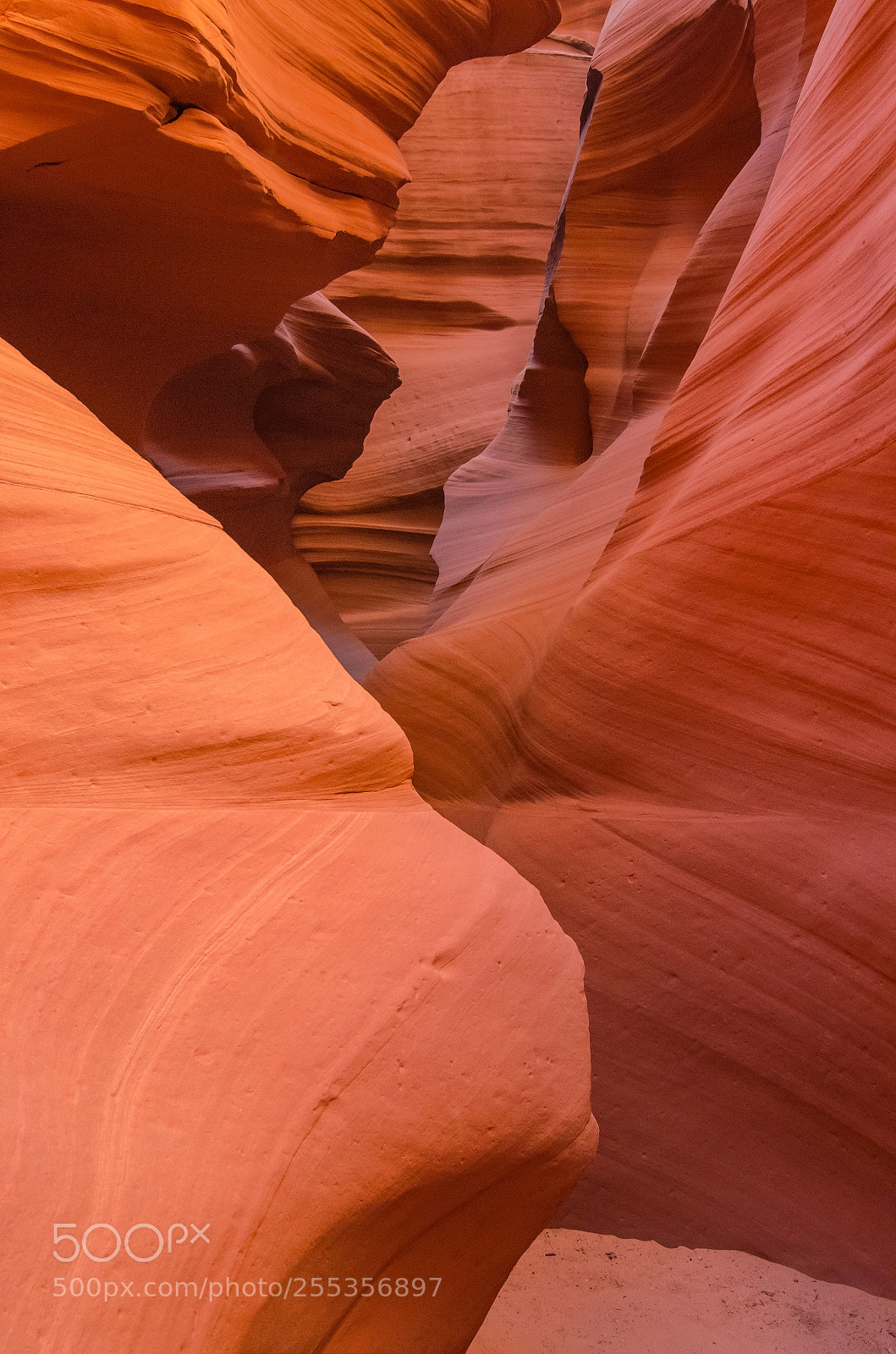 Nikon D7000 sample photo. Serrated photography