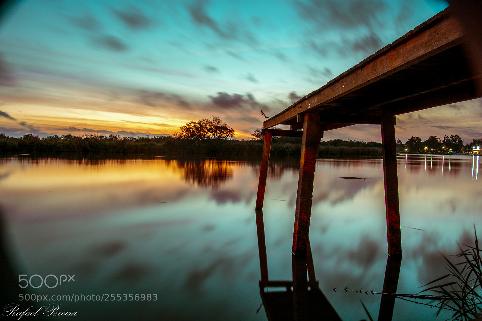 Nikon D7100 sample photo. _rsp4473-4.jpg photography
