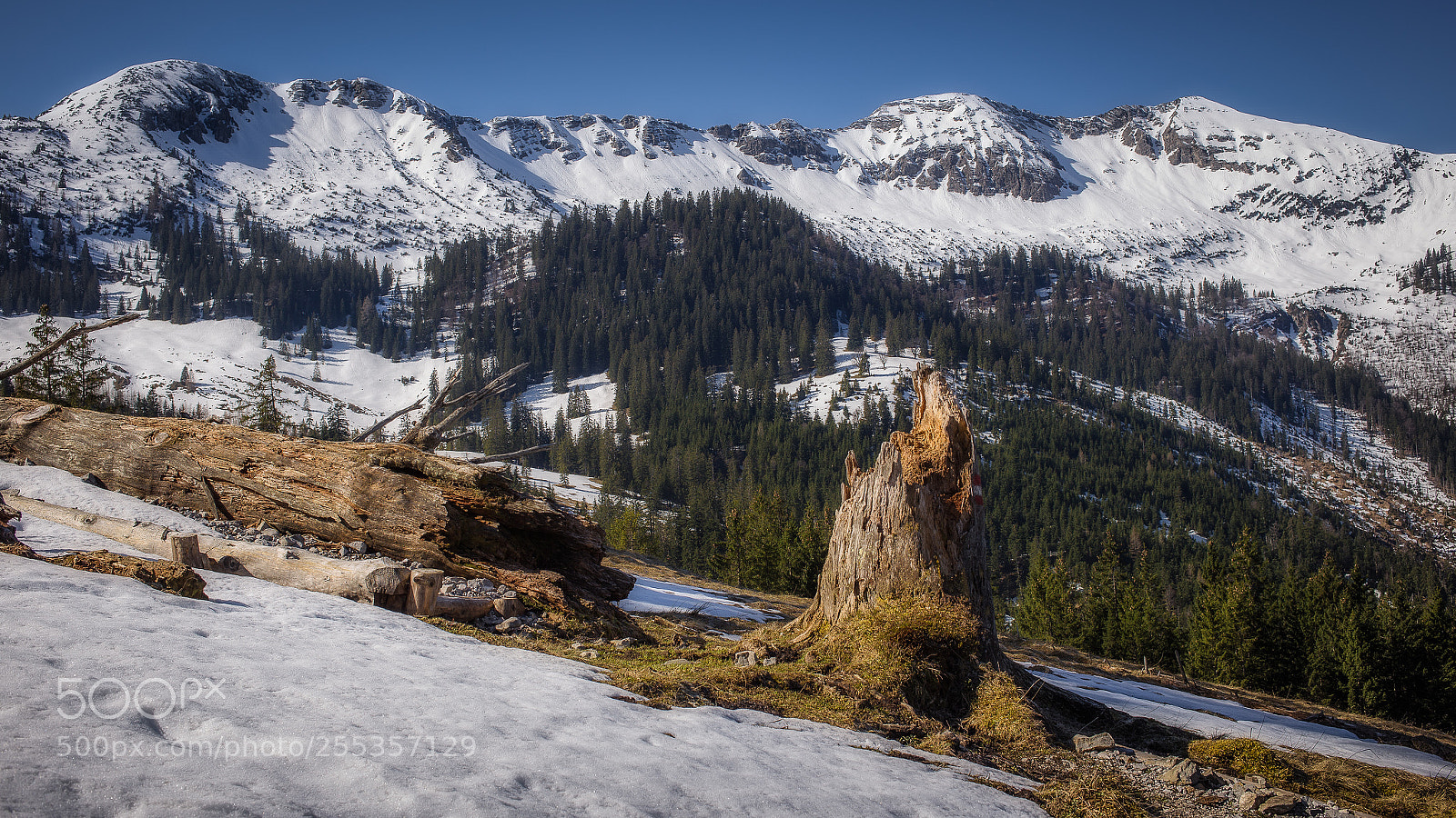 Canon EOS 6D sample photo. Frühling im vorkarwendel photography