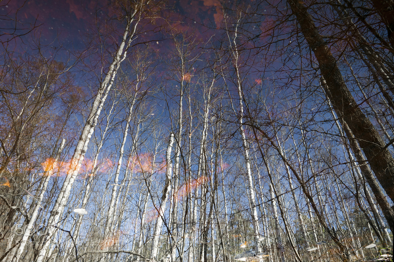 Sony a6000 sample photo. Reflection photography