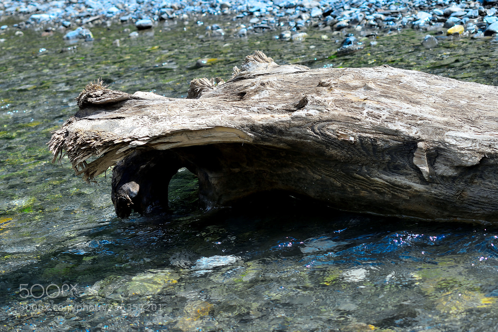 Nikon D3300 sample photo. Fluss photography