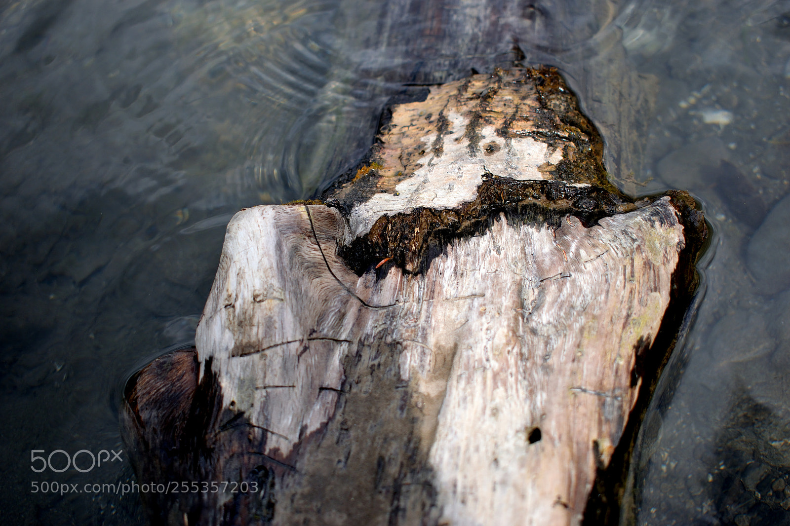 Nikon D3300 sample photo. River photography
