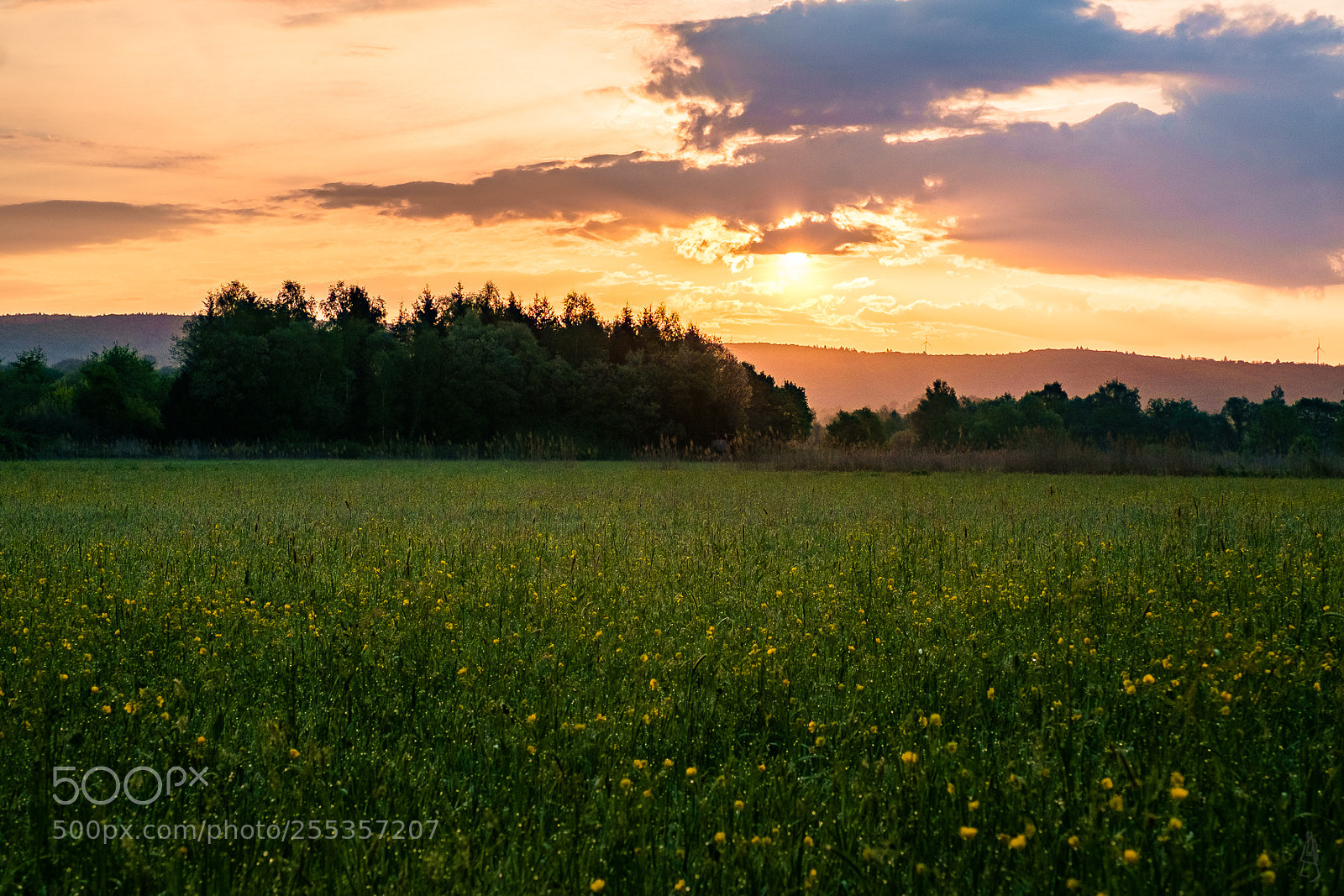 Fujifilm X-E1 sample photo. Morning field view photography