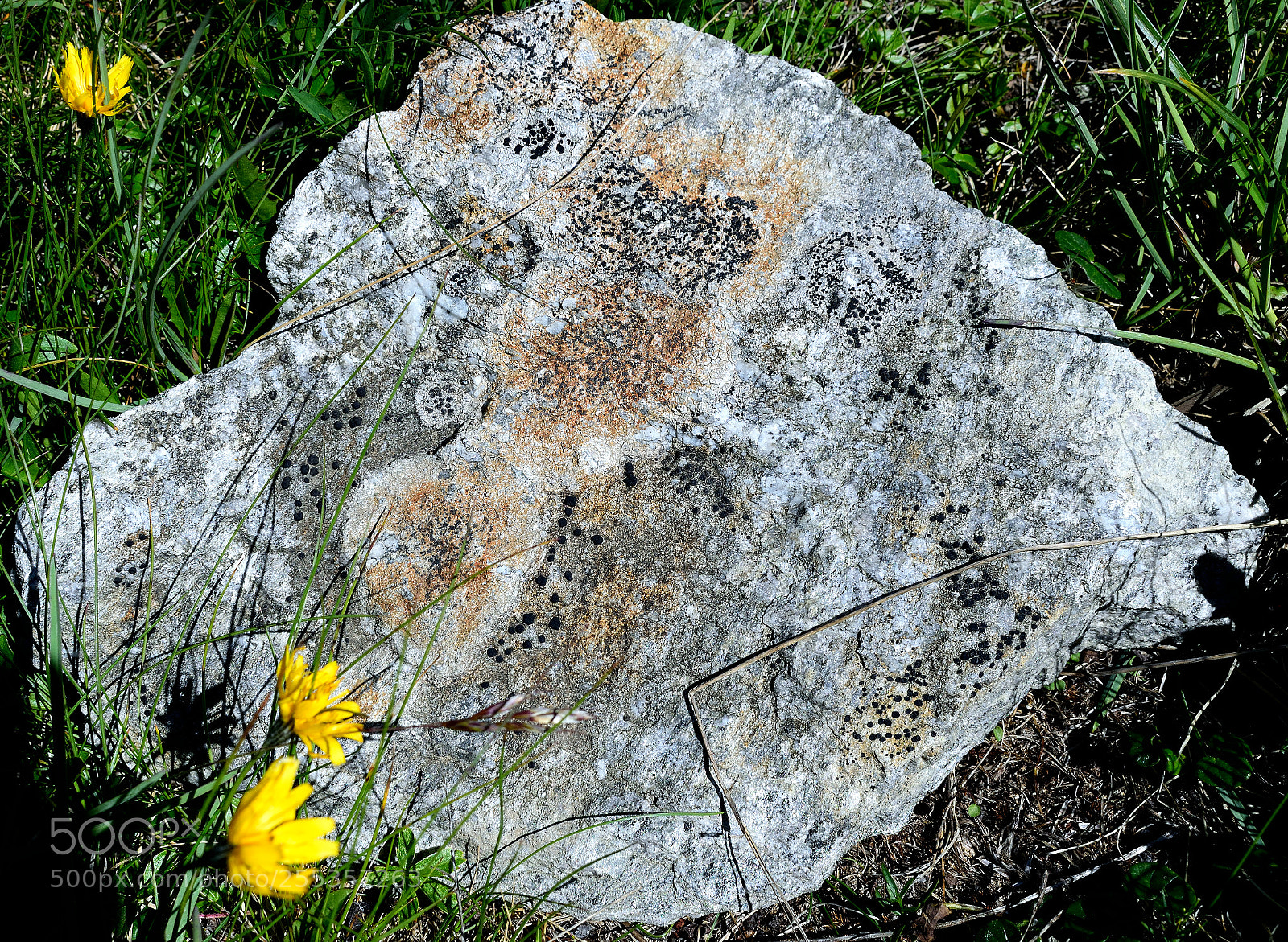Nikon D3300 sample photo. Stein photography