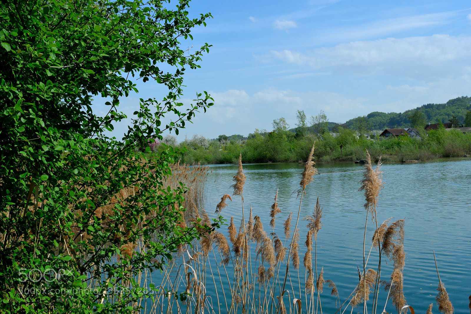 Nikon D3300 sample photo. Natur photography