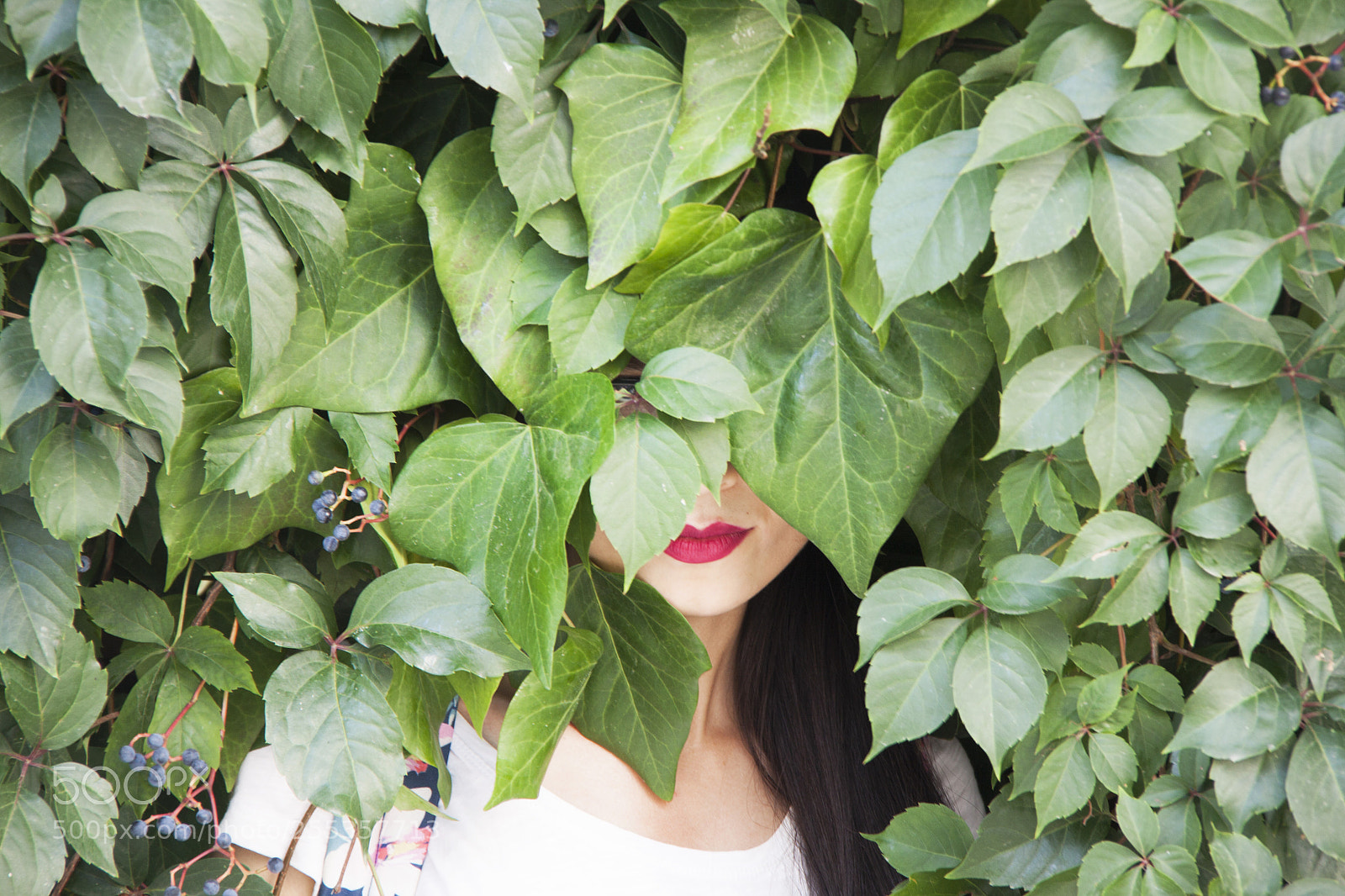 Canon EOS 50D sample photo. Hiding photography