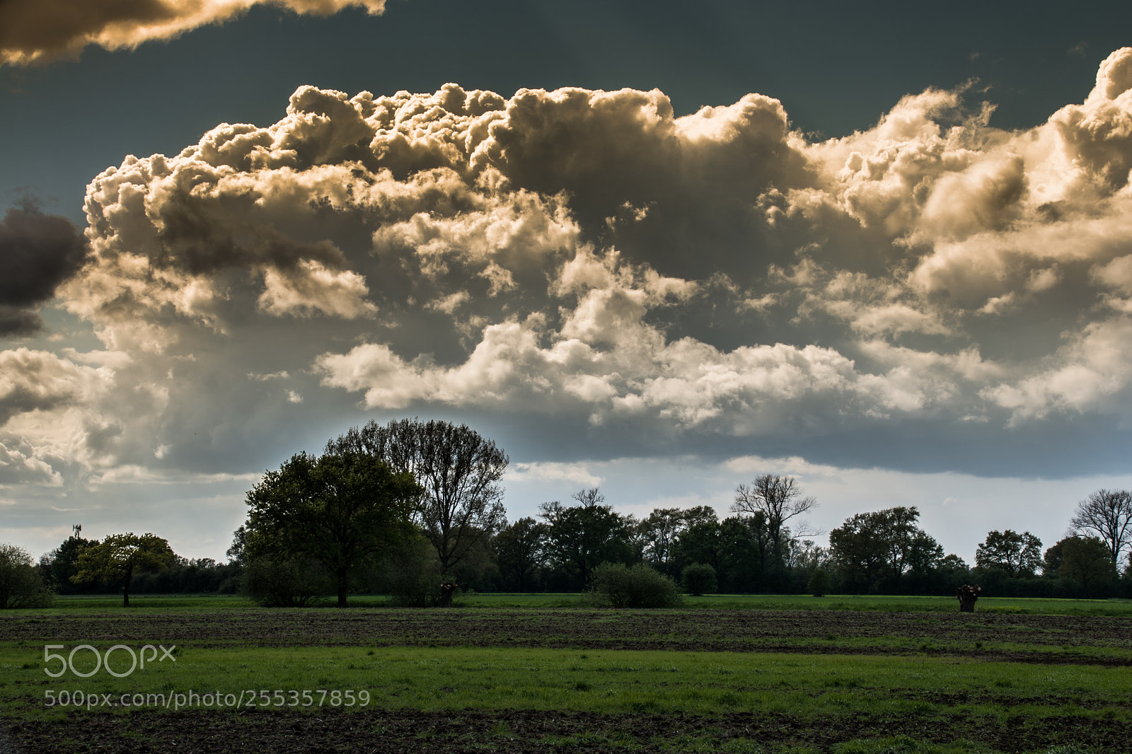 Nikon D5500 sample photo. Wolken photography