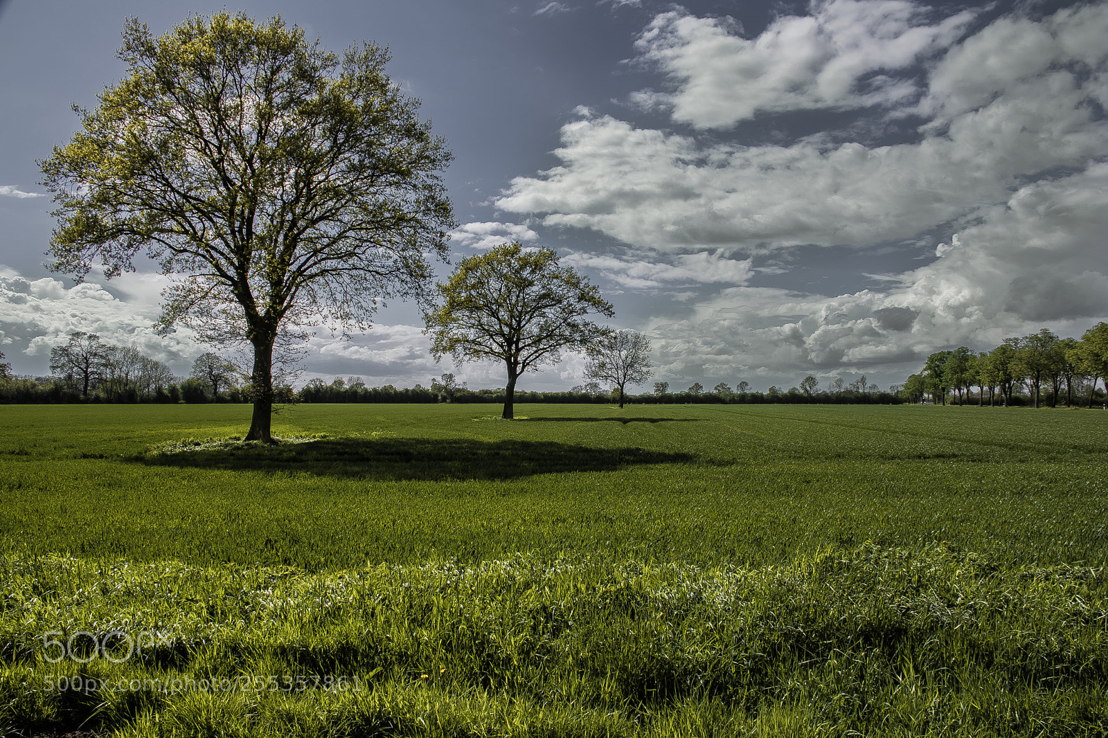 Nikon D5500 sample photo. Aprilwetter photography