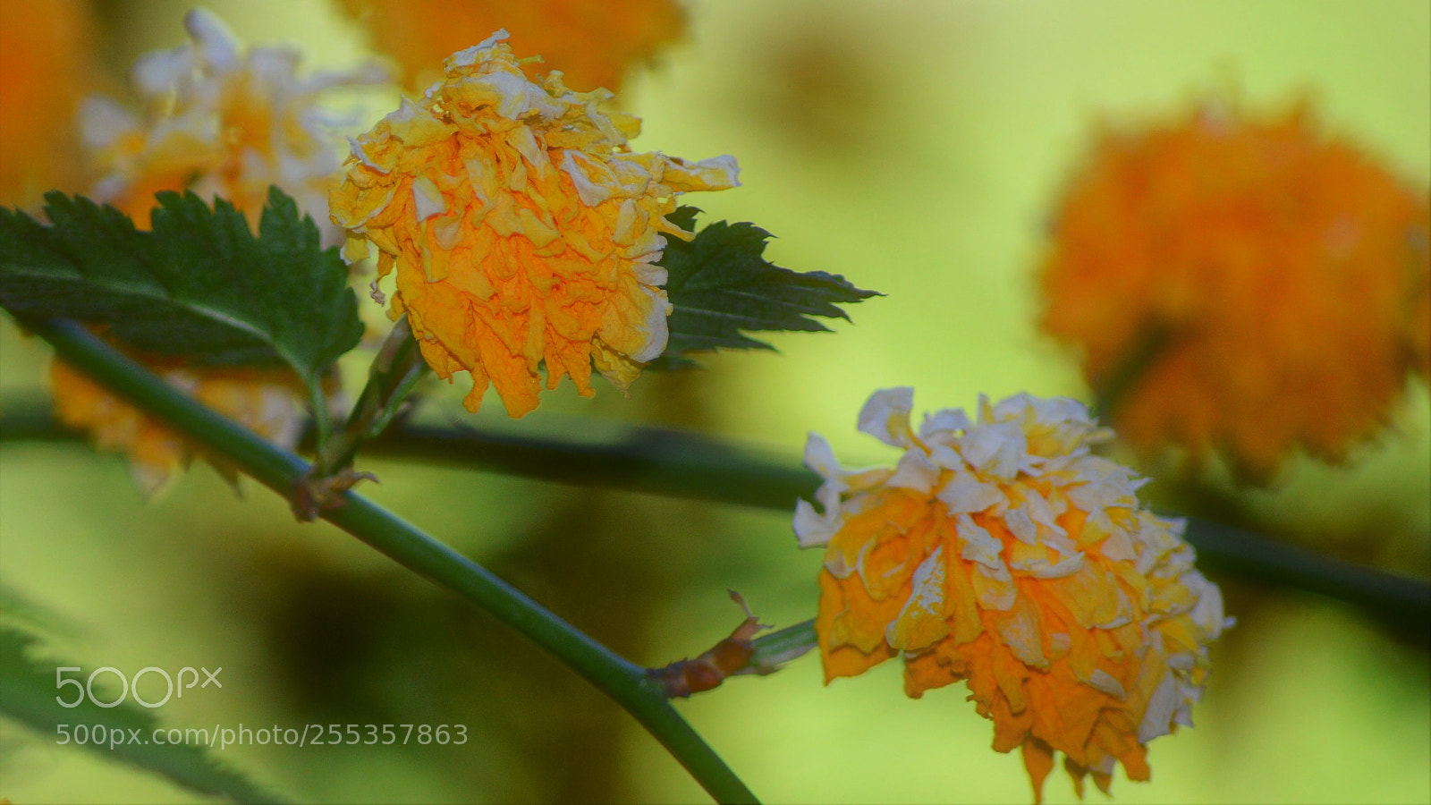 Nikon D3200 sample photo. Untitled photography