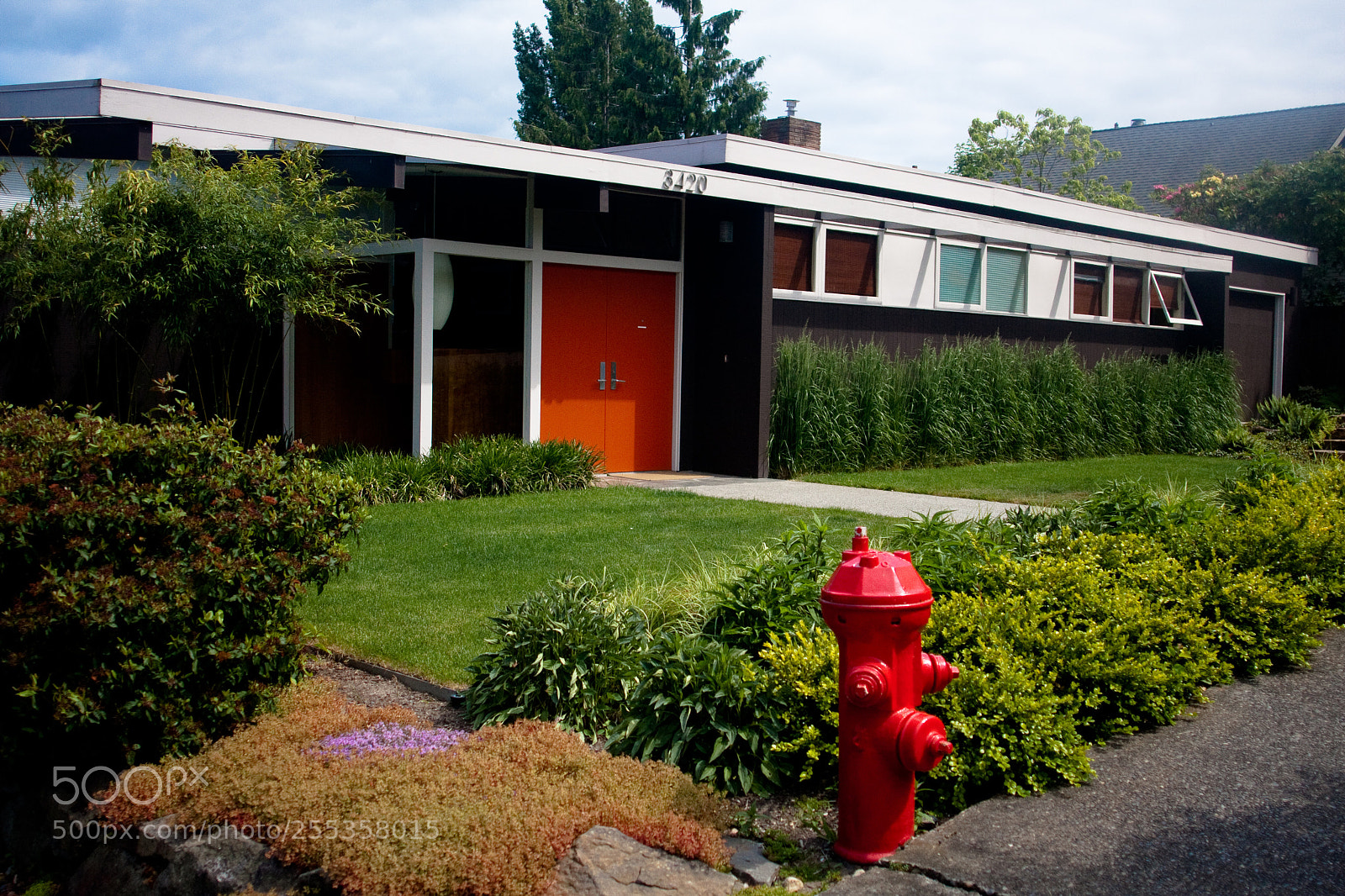 Canon EOS 40D sample photo. Mid-century rambler photography