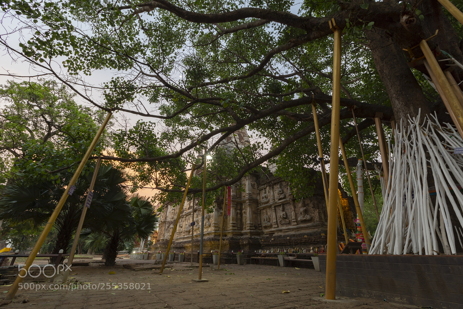Canon EOS 5D Mark IV sample photo. Wat chet yot seven photography