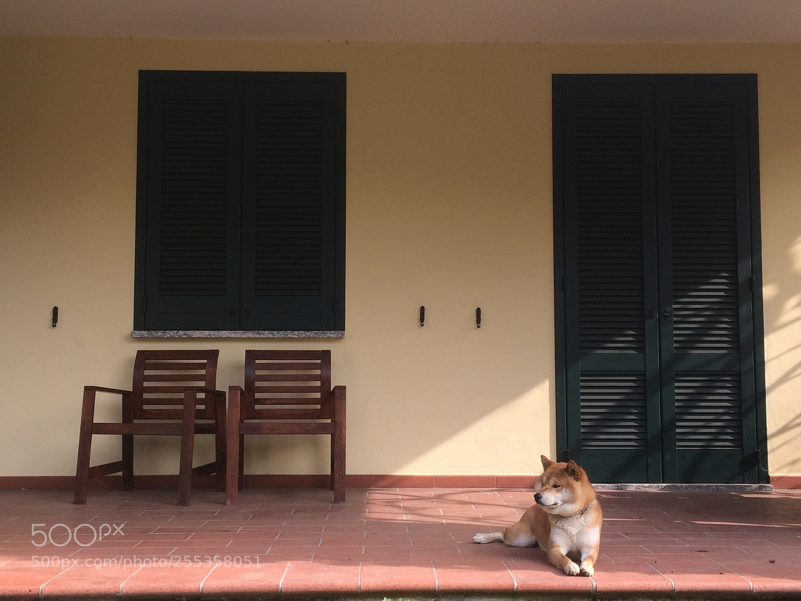 Apple iPhone 5s sample photo. The guardian or the photography