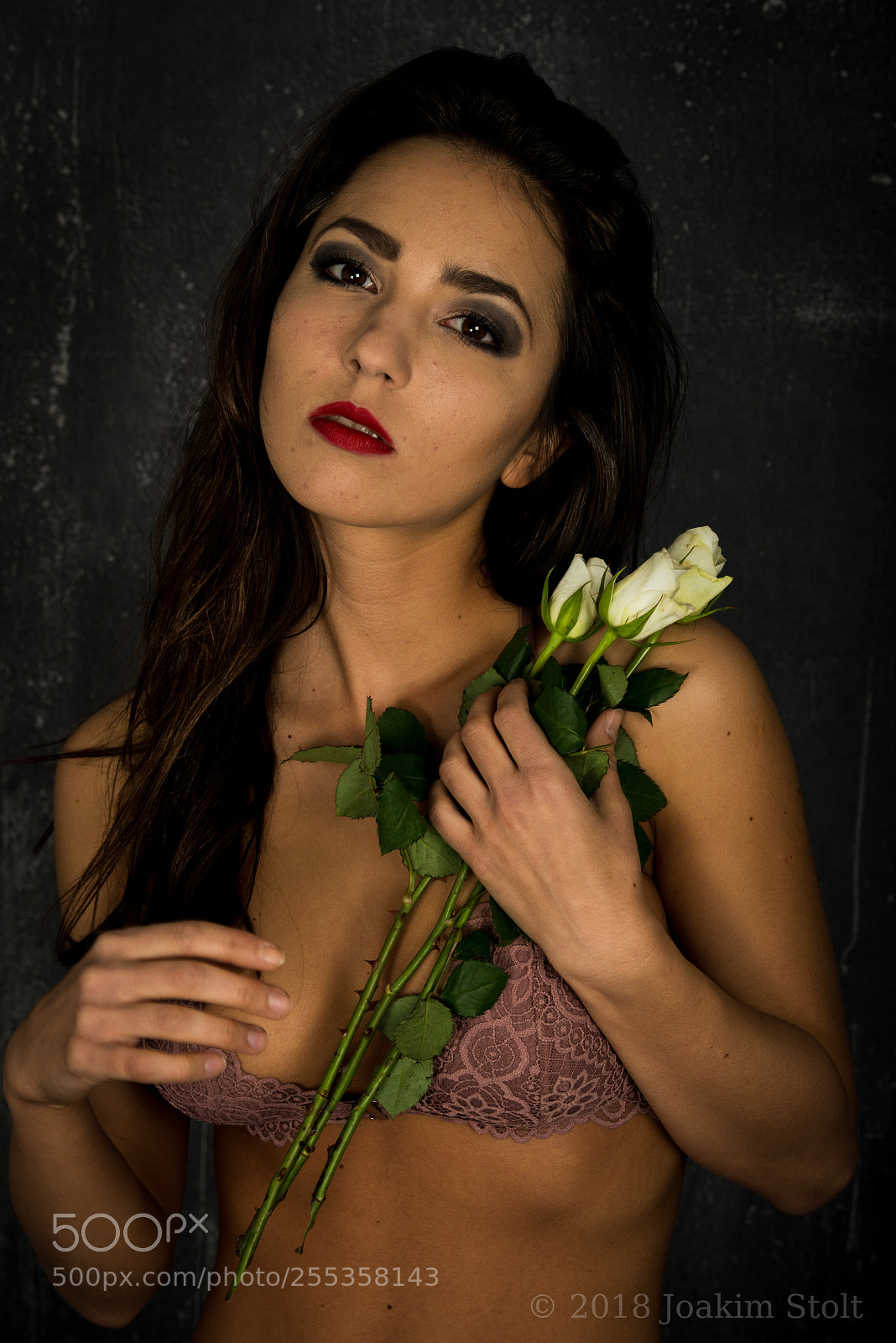 Nikon D800 sample photo. Kitti with roses photography