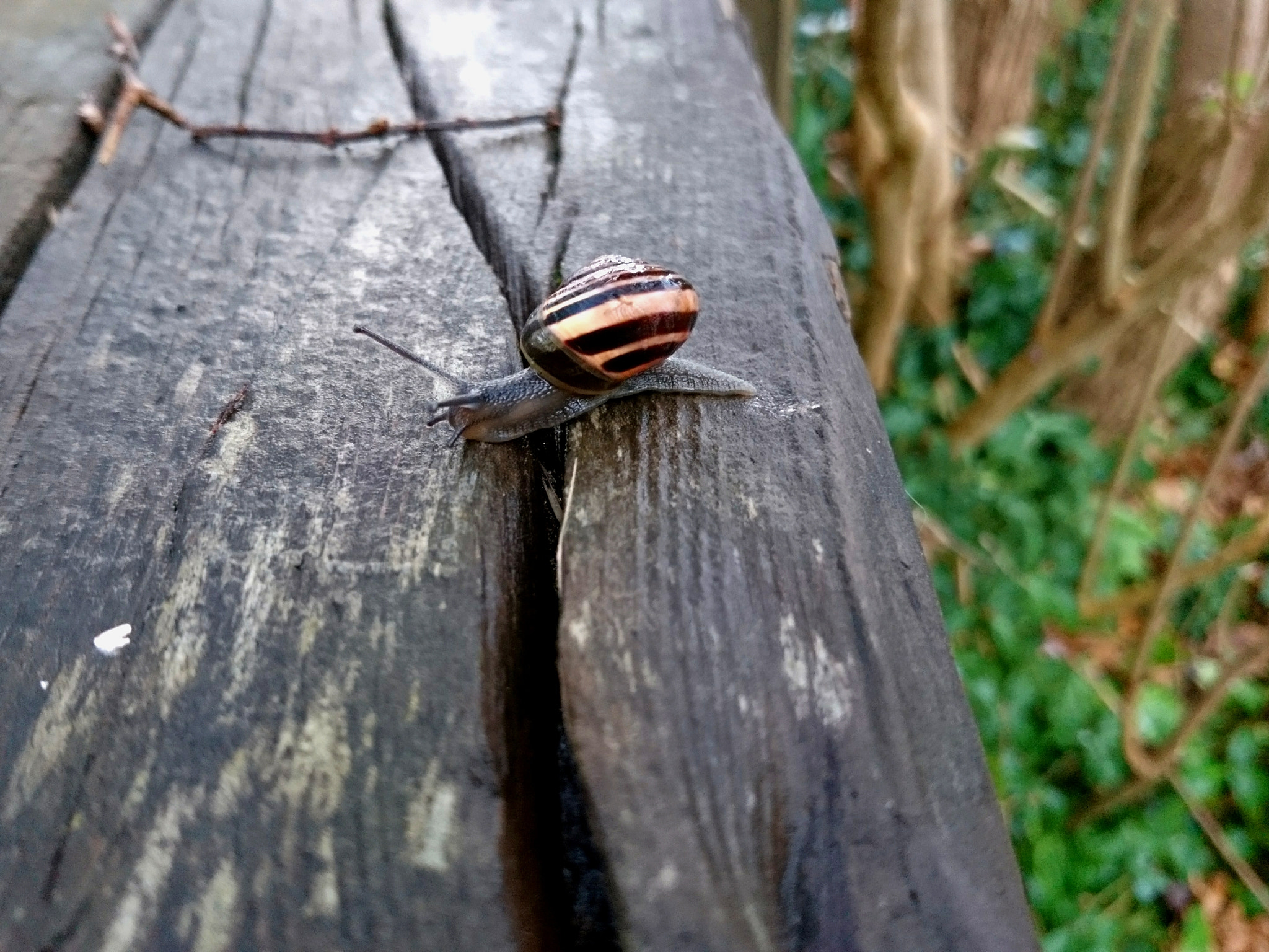 Sony Xperia X sample photo. Seeking adventure photography