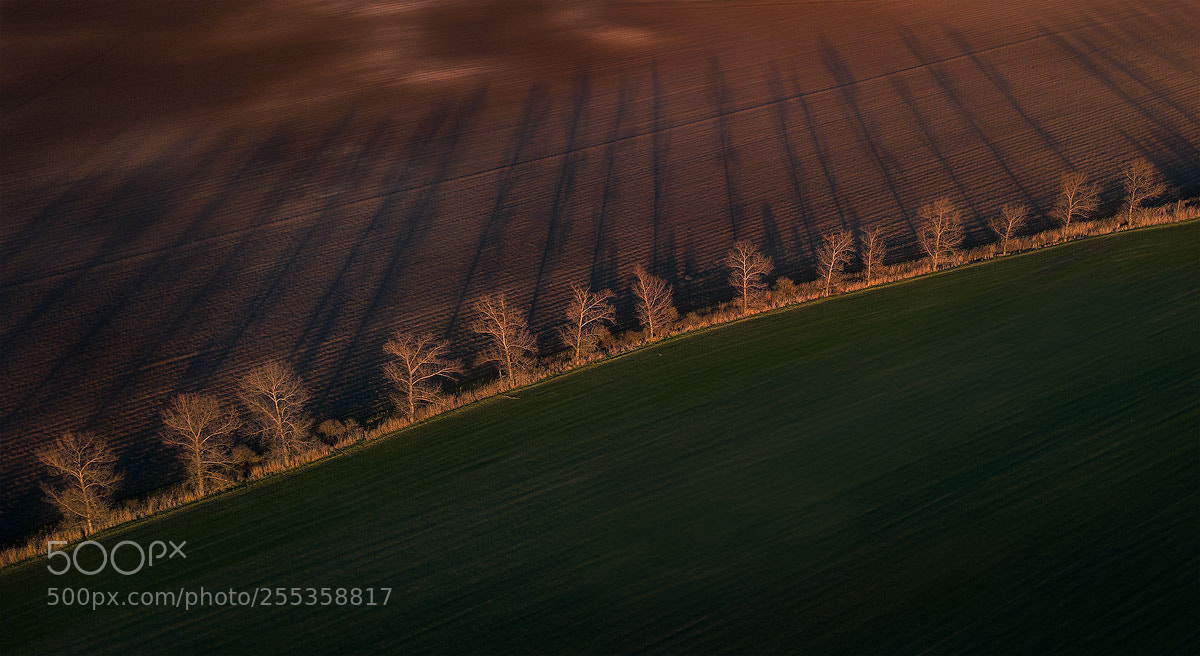 DJI FC220 sample photo. Shadows photography