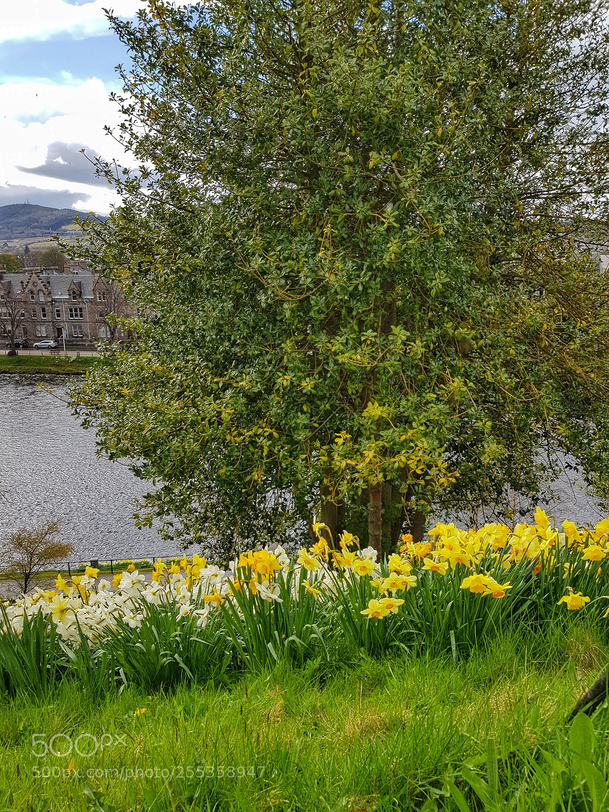 Samsung Galaxy S8+ sample photo. Flowers at inverness castle photography