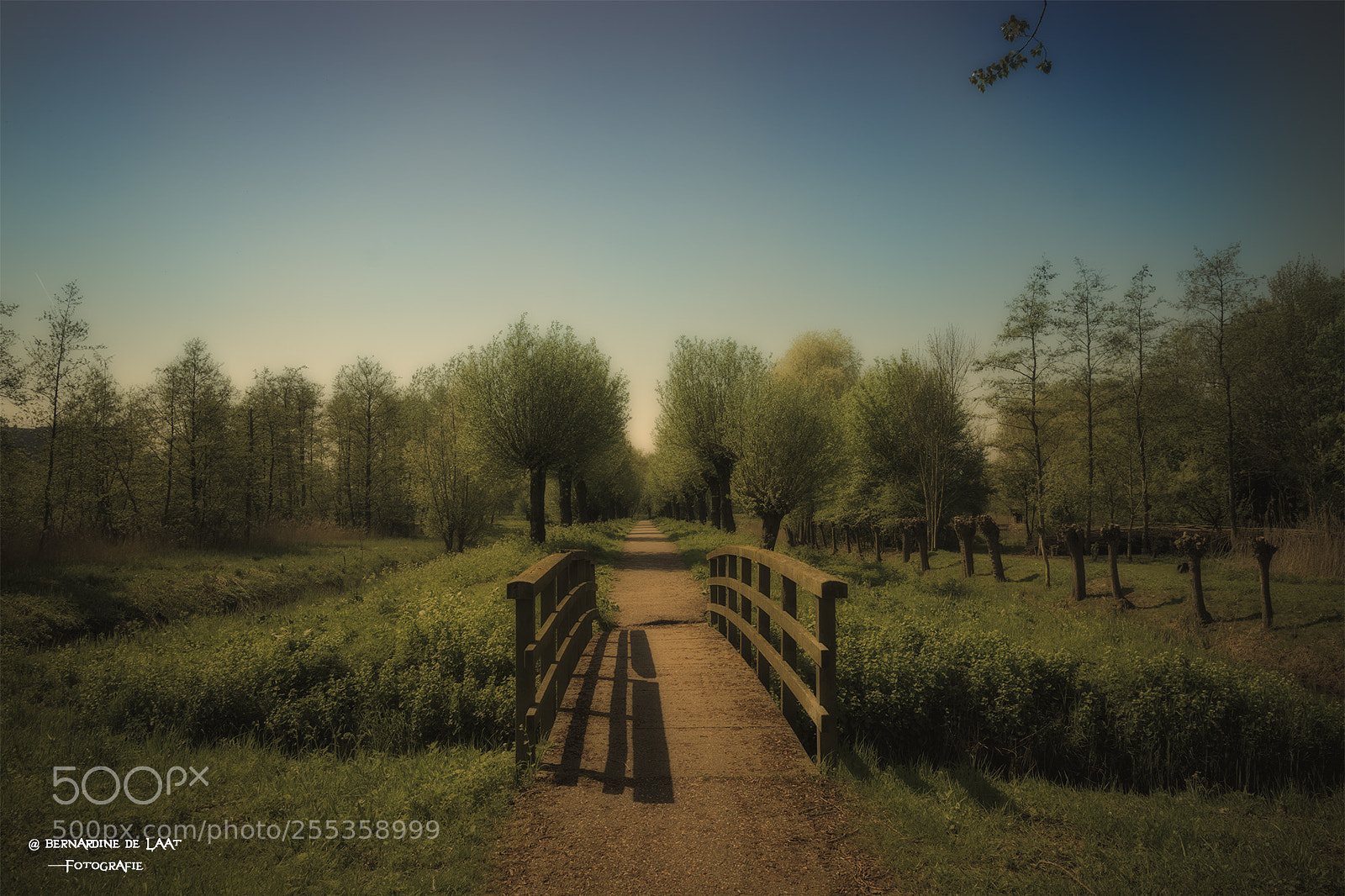 Nikon D7100 sample photo. Crossing a bridge photography