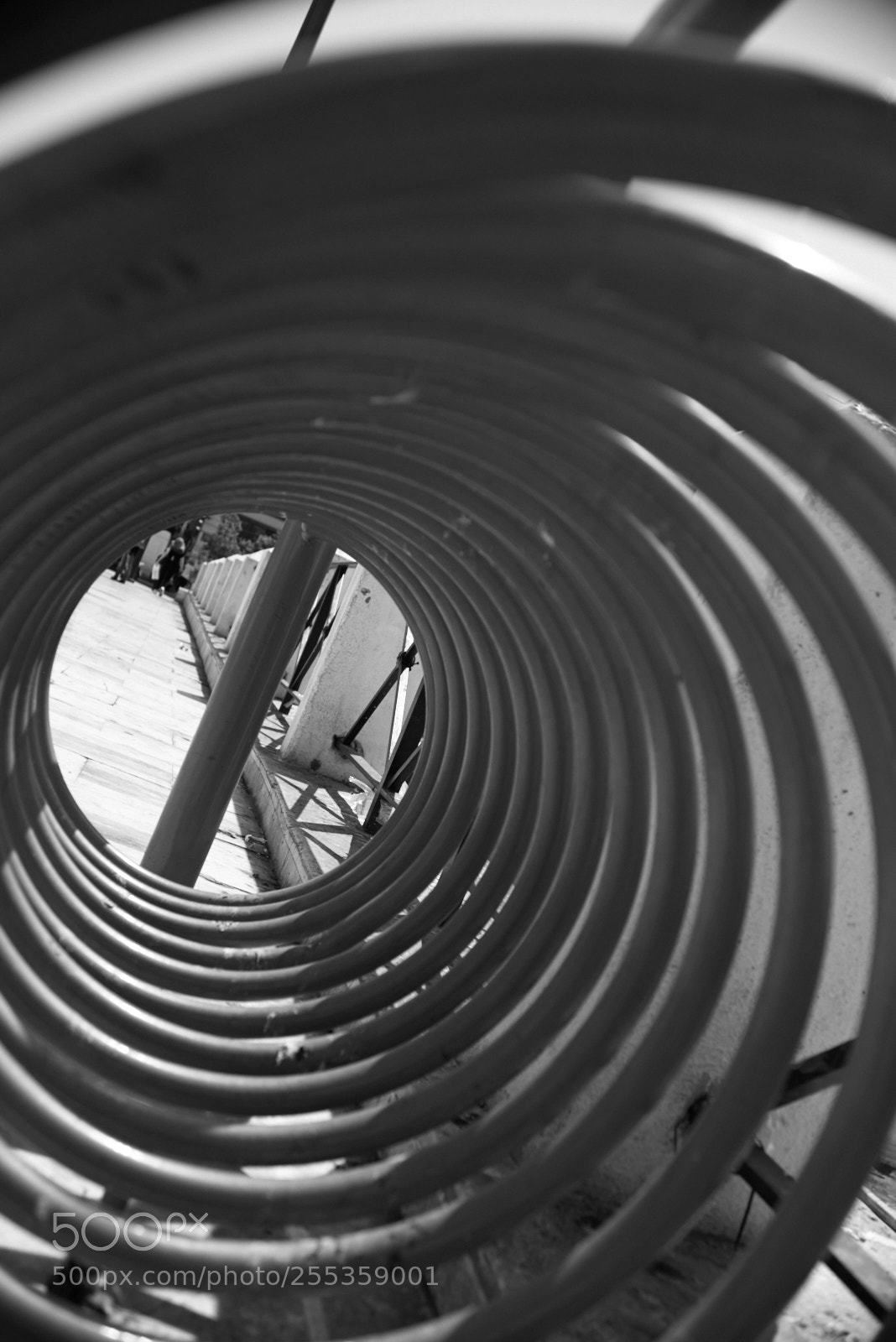 Nikon D800 sample photo. Caught in a loop photography