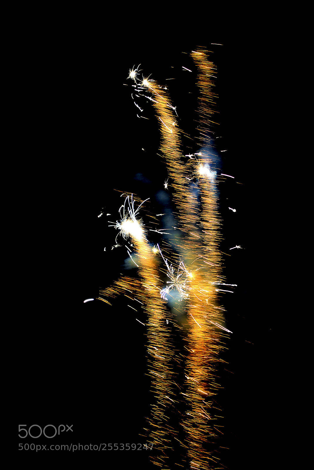 Nikon D800 sample photo. Untitled photography