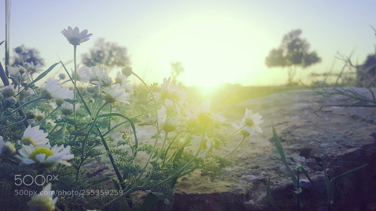 Samsung Galaxy S7 Edge sample photo. Sun rise photography