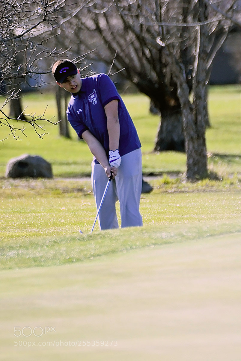Nikon D500 sample photo. Dsc photography