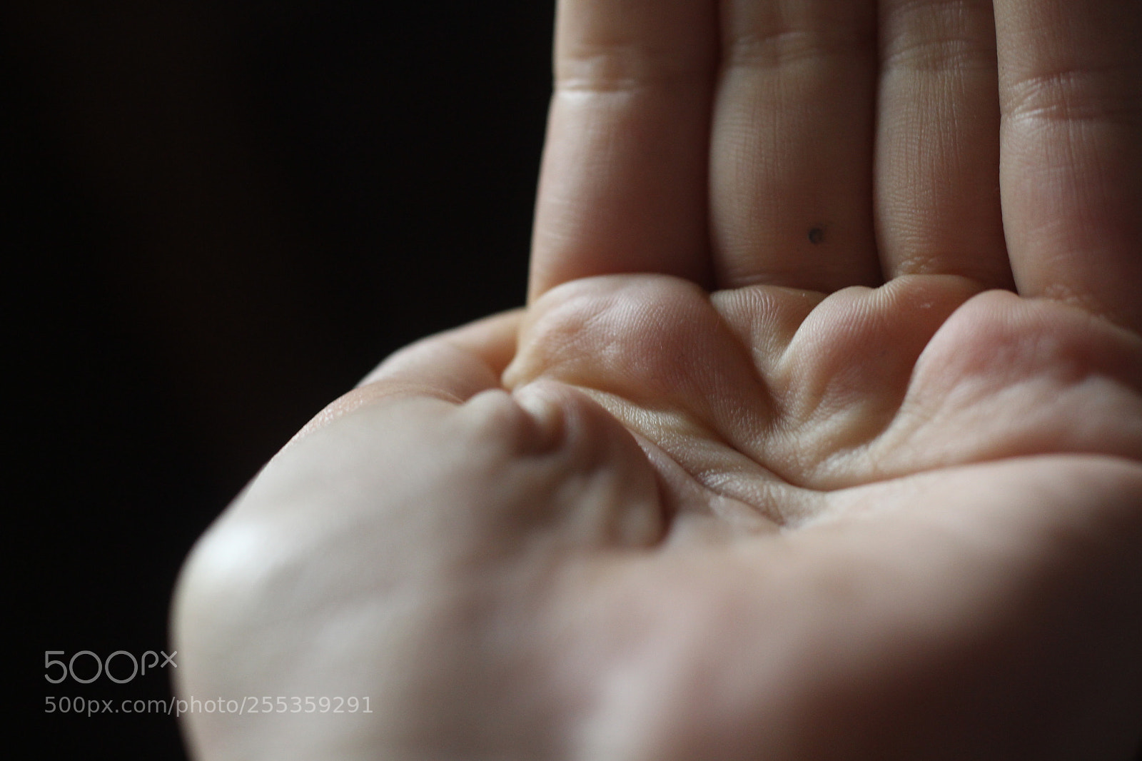 Canon EOS 700D (EOS Rebel T5i / EOS Kiss X7i) + Canon EF 50mm F1.8 STM sample photo. Img photography