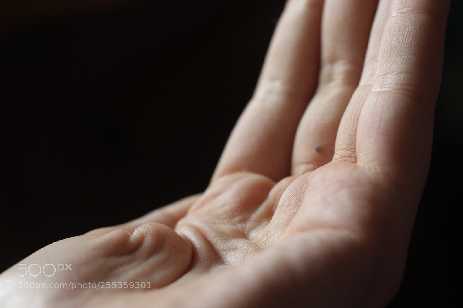 Canon EOS 700D (EOS Rebel T5i / EOS Kiss X7i) + Canon EF 50mm F1.8 STM sample photo. Img photography