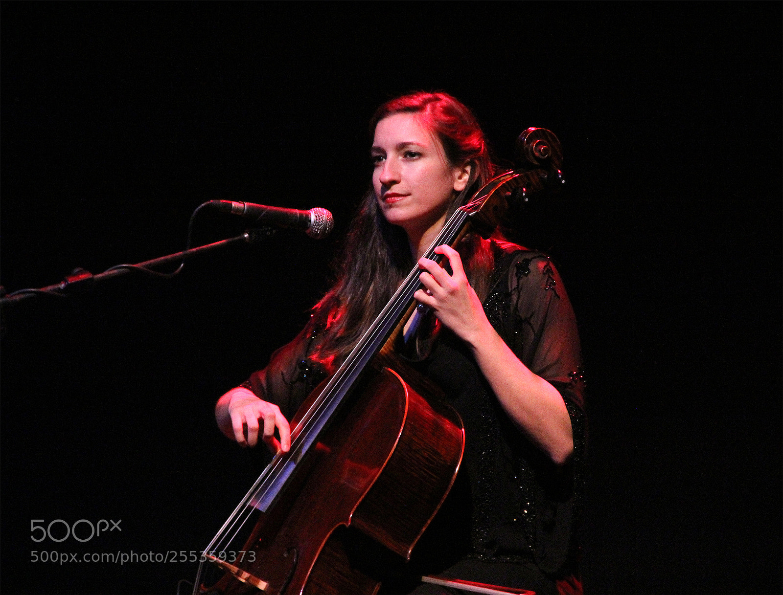 Canon EOS 60D sample photo. Harpeth rising 8 photography